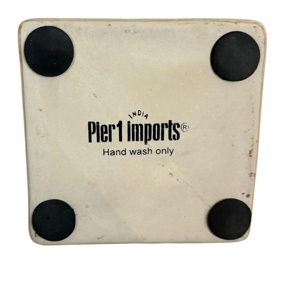 Pier 1 Imports India Rustic Beige Speckled Ceramic Canister